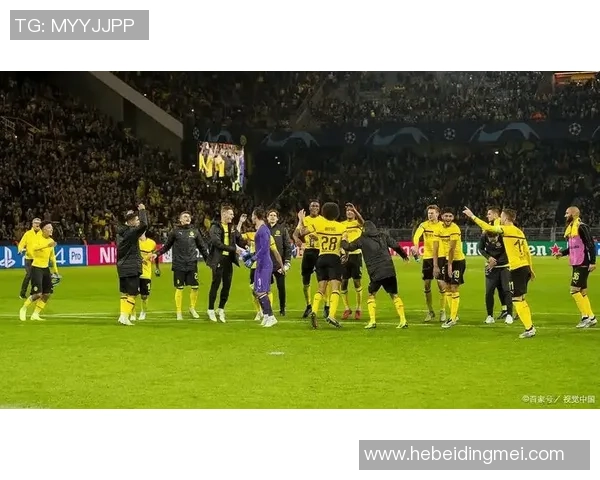 国王杯激战：多特蒙德险胜里昂4-3全场精彩瞬间回顾